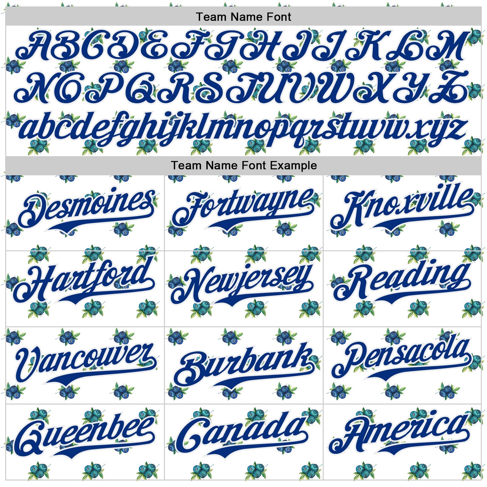 Custom White-Royal Foodie Blueberry Authentic Baseball Jersey